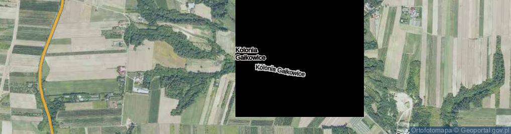 Zdjęcie satelitarne Kolonia Gałkowice ul.